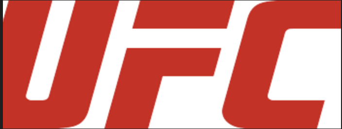 UFC Fight Predictor
